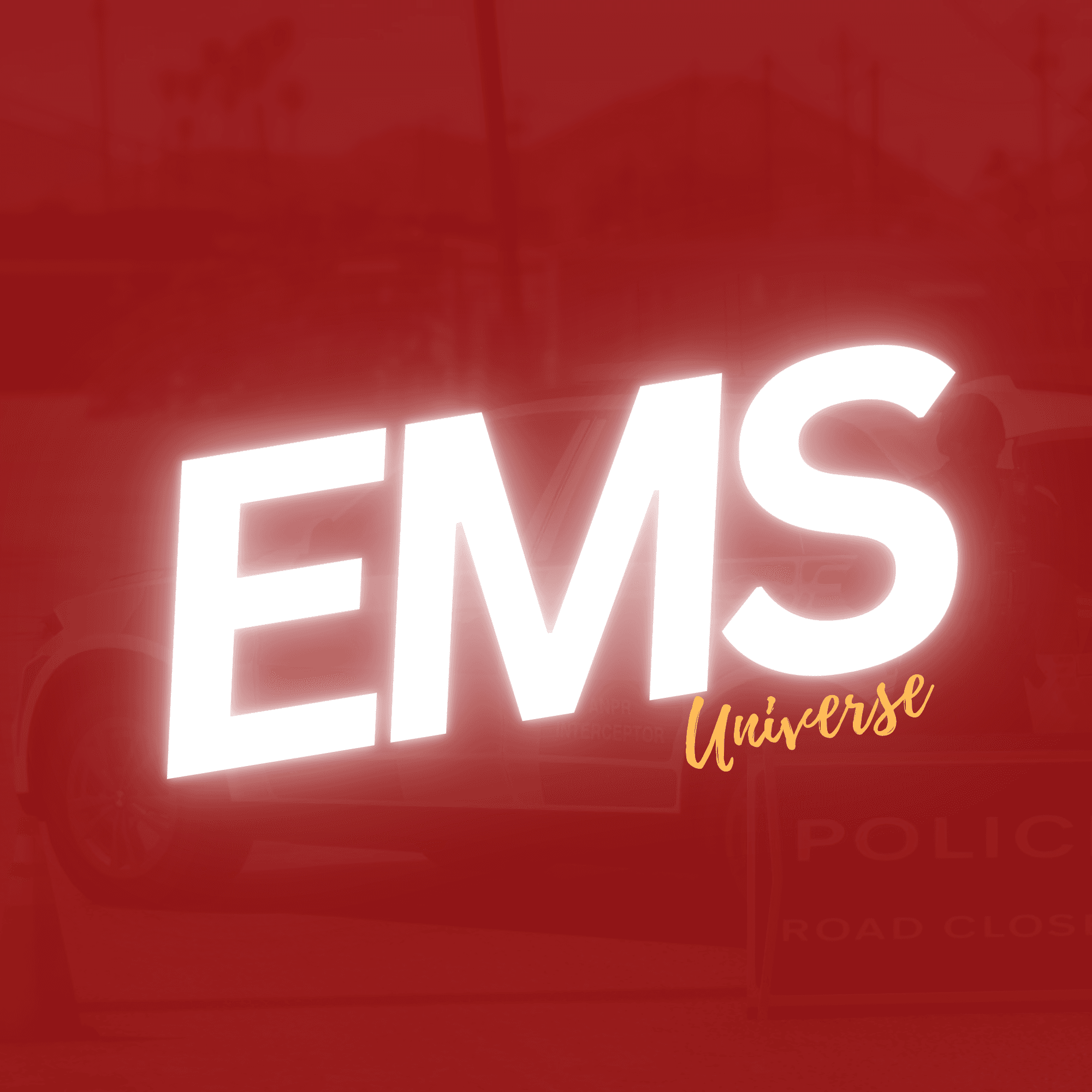 EMS – medical roleplay